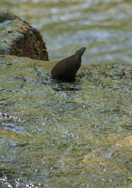 c0148777_16183653.jpg