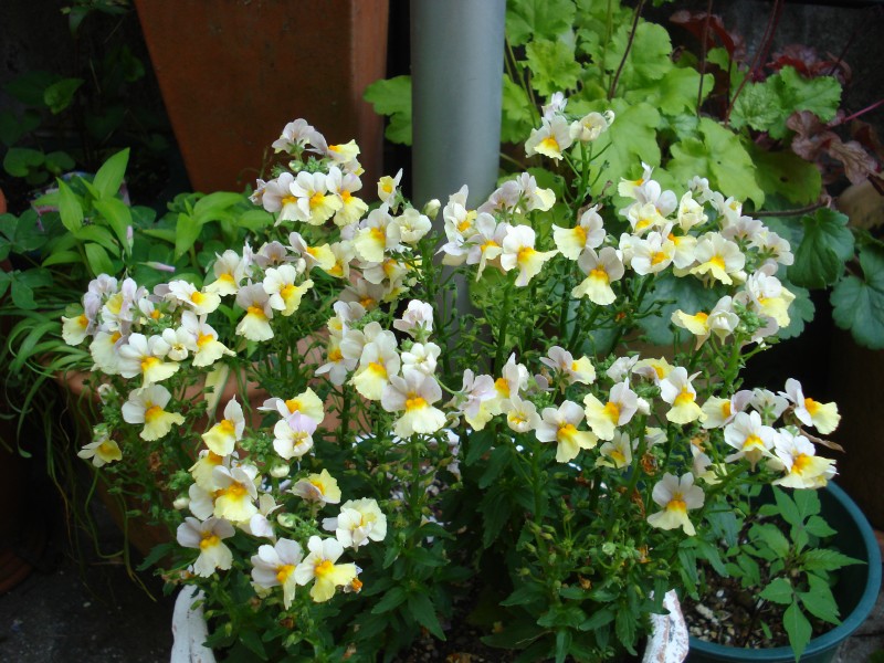 f0165677_1849680.jpg