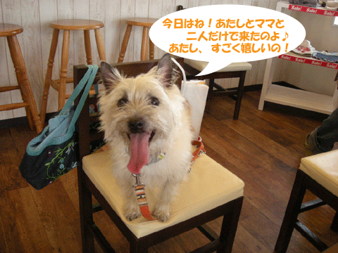 e0066883_23352996.gif