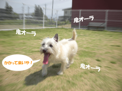 e0066883_23392090.gif