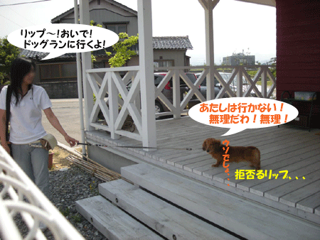 e0066883_2341039.gif