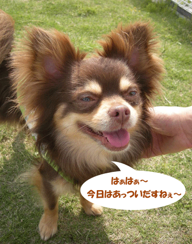 e0066883_23495121.gif