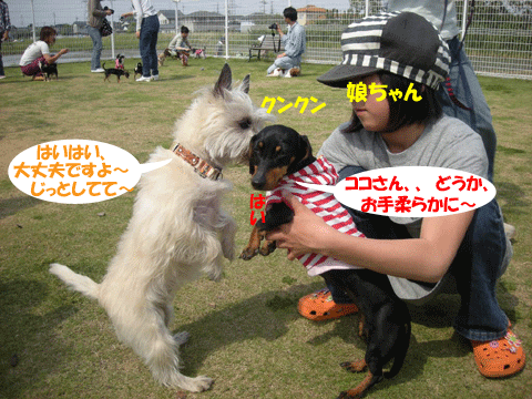 e0066883_2349770.gif