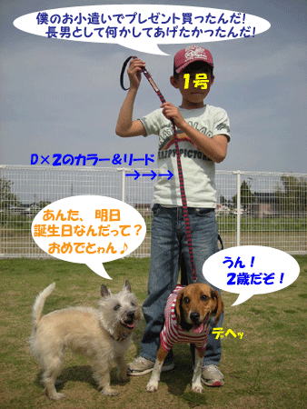 e0066883_2350462.gif