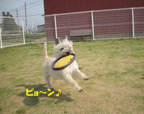 e0066883_2354216.gif