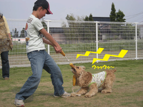 e0066883_2354336.gif