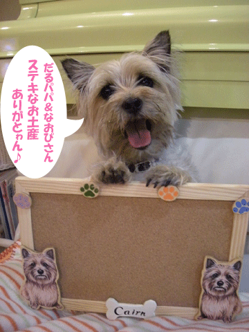 e0066883_23572855.gif
