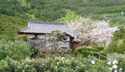 f0003283_1228211.jpg