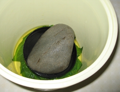 f0003283_122904.jpg