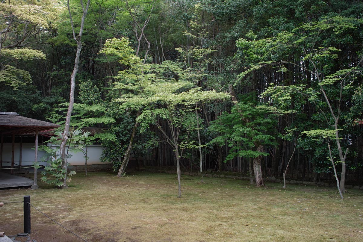 b0052286_9273530.jpg
