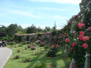 b0131786_442409.jpg