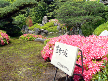 b0014587_11165829.jpg