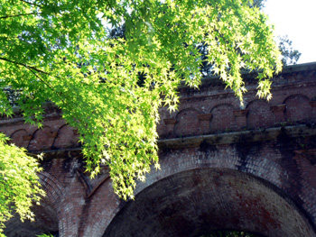 b0014587_12465065.jpg