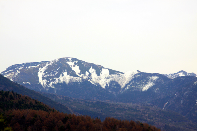 d0151787_20415984.jpg