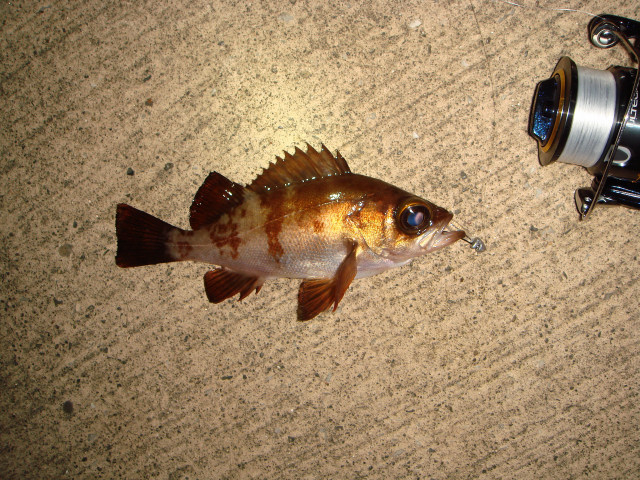 c0139388_22254881.jpg