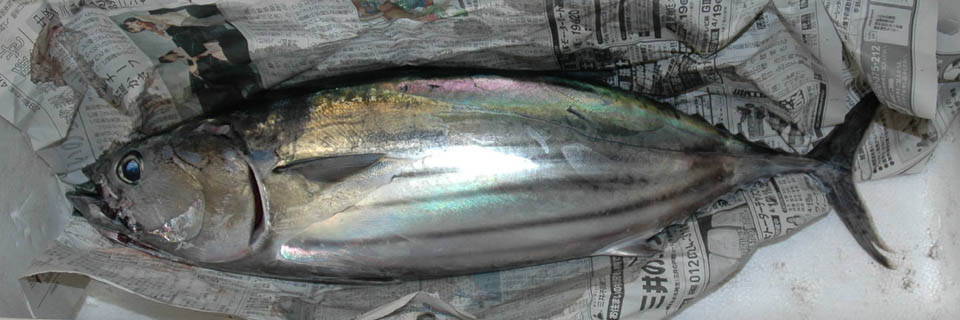c0170789_23571347.jpg