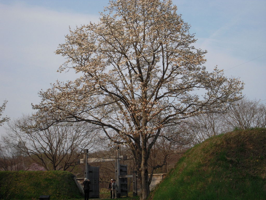 e0148889_1723448.jpg