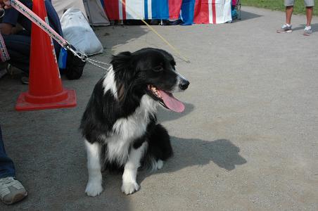 c0123890_20511229.jpg