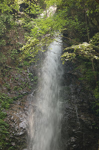 d0014690_22175114.jpg