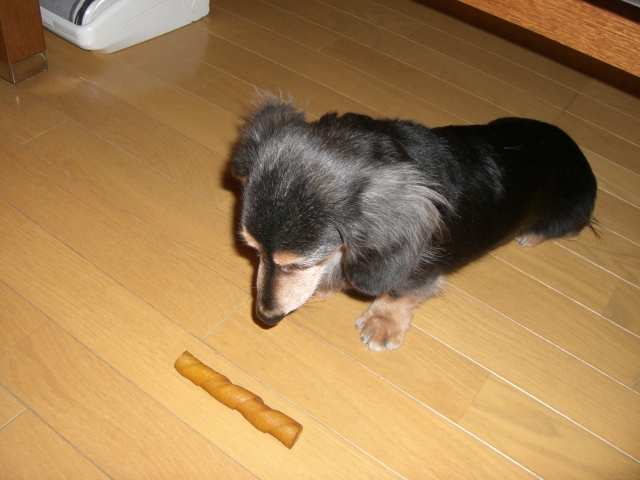a0119591_11274640.jpg