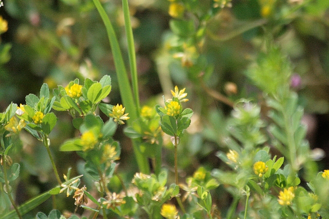 d0133693_2046428.jpg