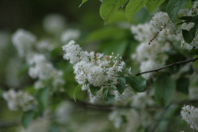 d0133693_2047251.jpg