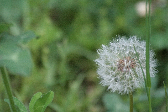 d0133693_2049155.jpg