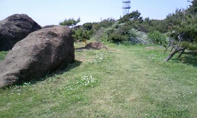 b0029694_1047385.jpg