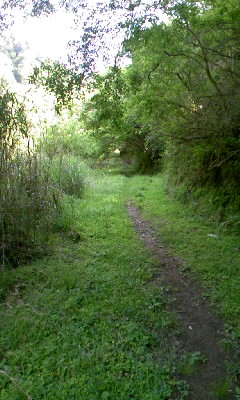 b0029694_10574390.jpg