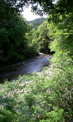 b0029694_10575990.jpg