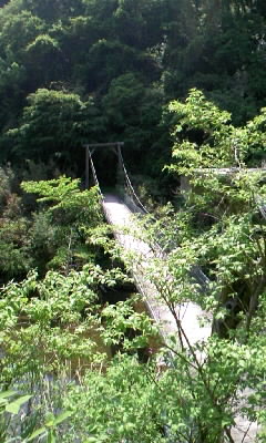 b0029694_10581875.jpg
