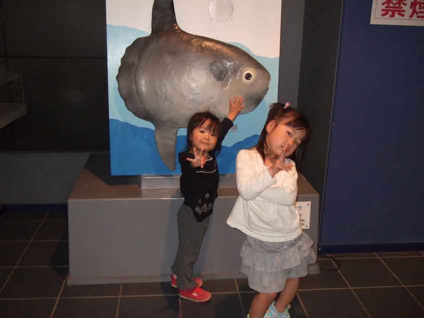 f0176194_7204820.jpg