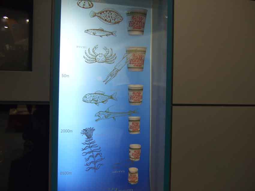 f0176194_7281994.jpg
