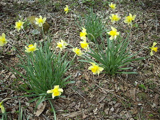 c0138198_14444328.jpg