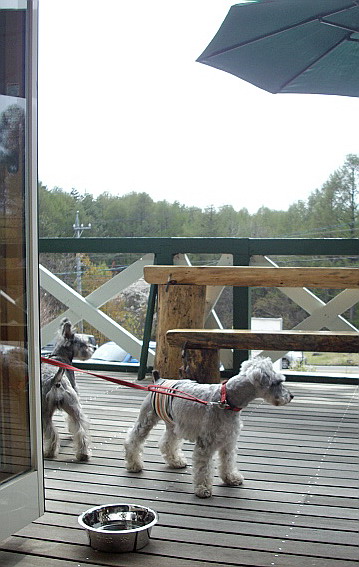 c0138198_1526284.jpg