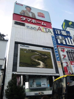e0156298_1305780.jpg