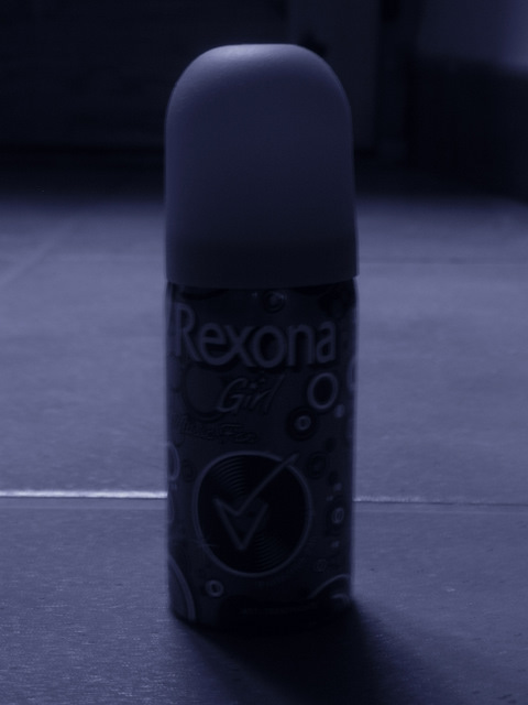 e0061699_795629.jpg
