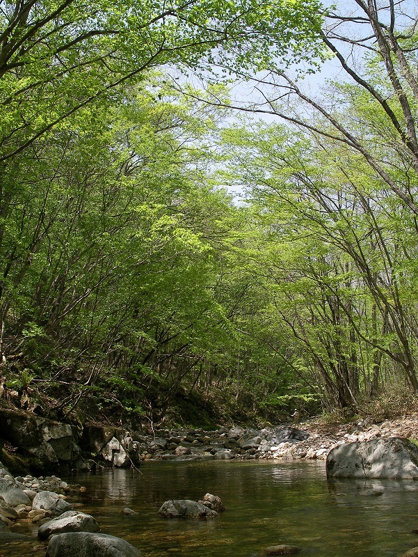 c0180802_2121723.jpg