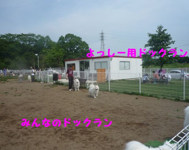e0018604_12381455.jpg