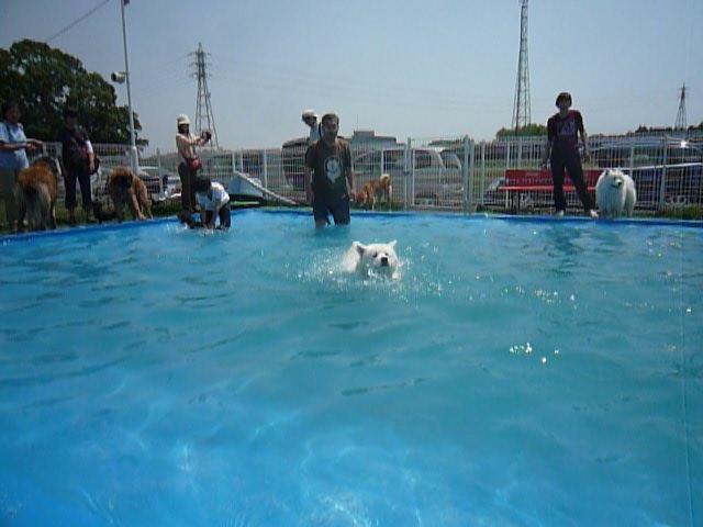 e0018604_21321567.jpg