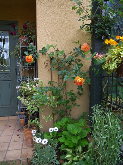 f0065604_20594845.jpg