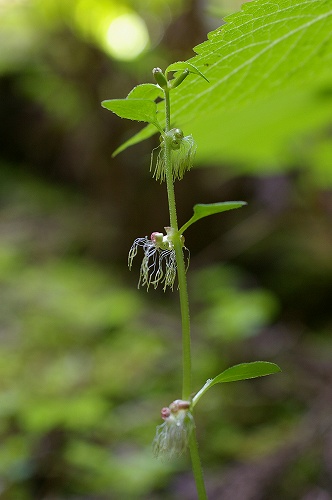 a0078106_213504.jpg
