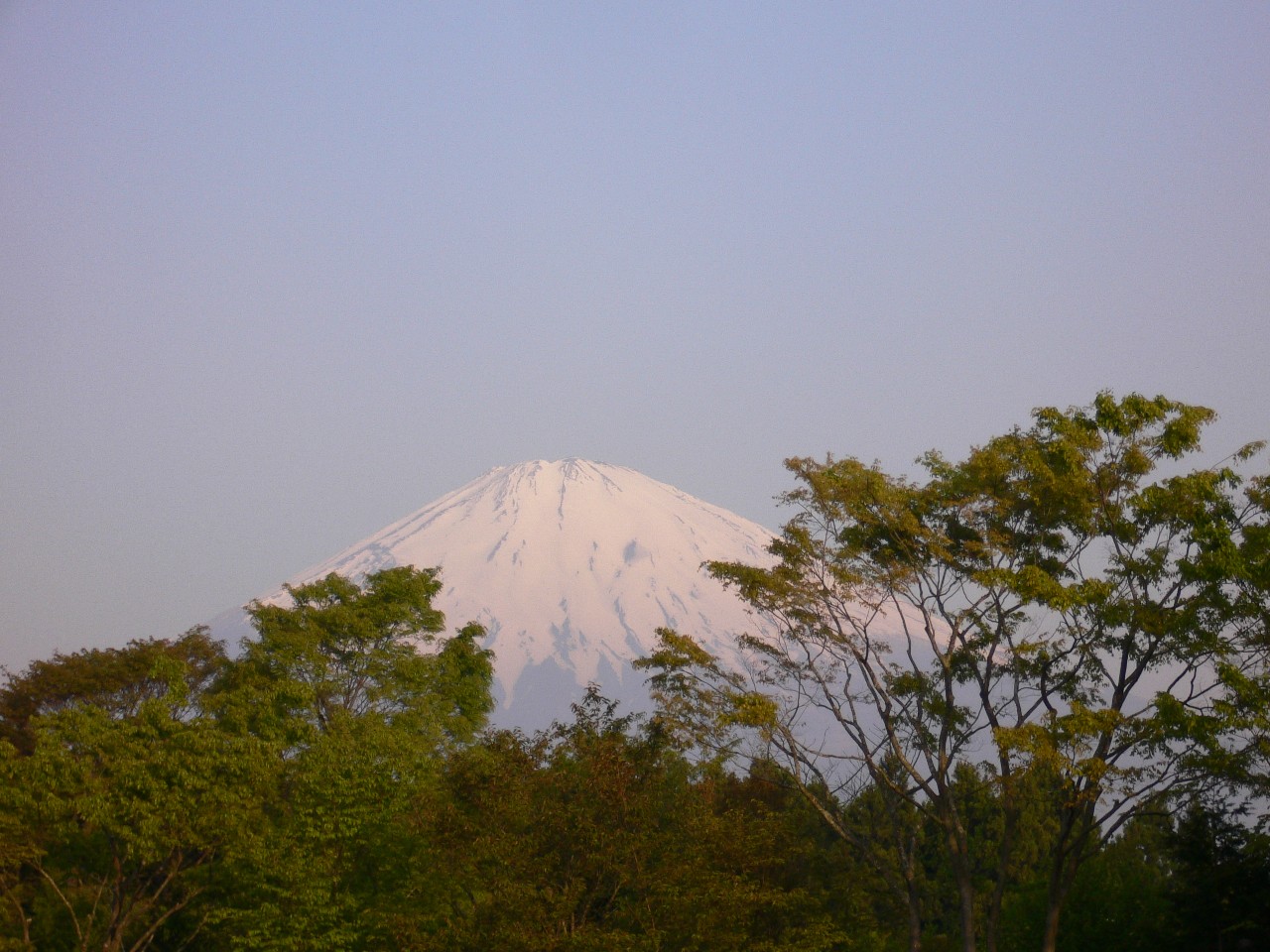 a0105809_14285359.jpg