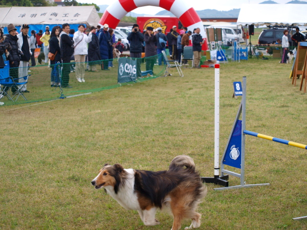 d0101409_21365412.jpg