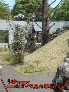 c0012810_14223094.jpg