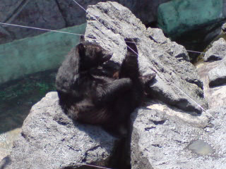 c0012810_14225889.jpg