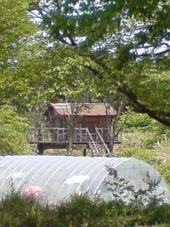 c0012810_1423496.jpg