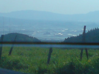 c0012810_1425109.jpg