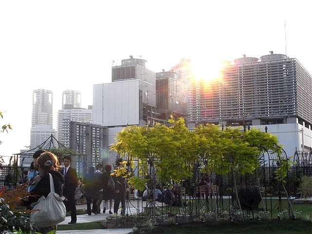 c0116714_25936.jpg
