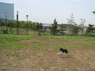 e0080117_23425940.jpg